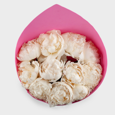 Букет из 11 пионов Песня ангела