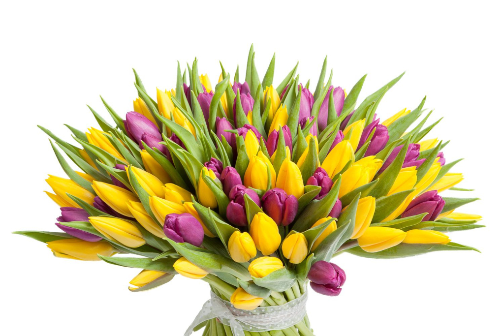 Букет 101 тюльпан, желто-фиолетовые