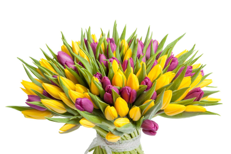 Букет 101 тюльпан, желто-фиолетовые