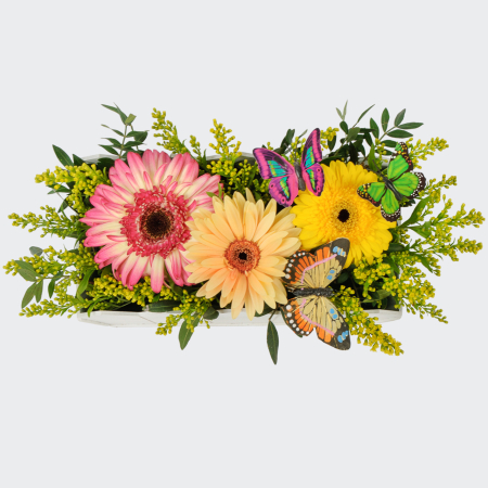 Композиция Метаморфозы знаний