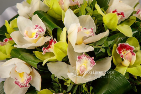 Букет Леди Берд