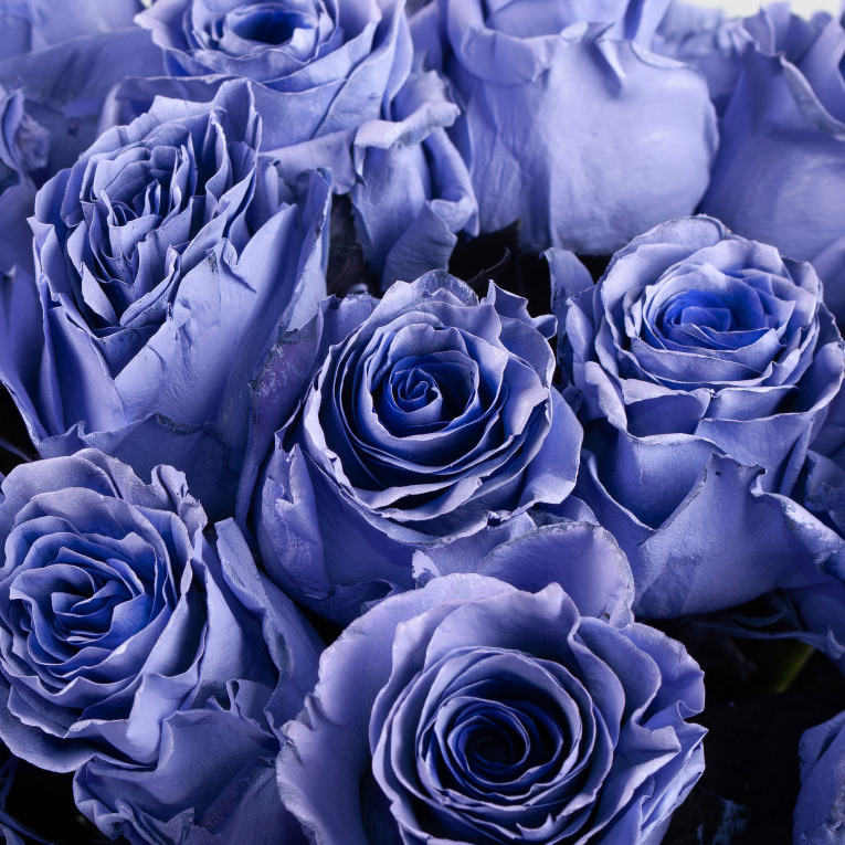 Букет 25 роз Сердце океана