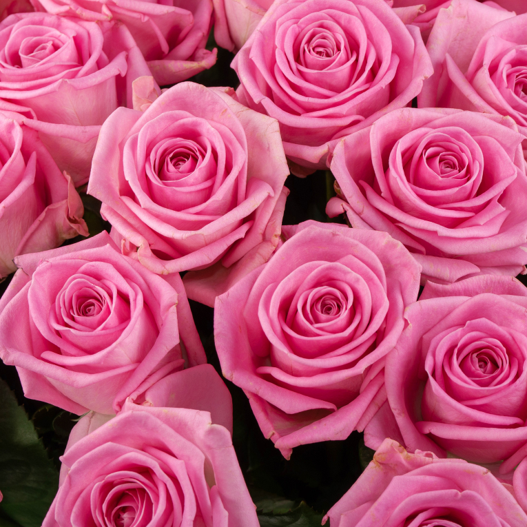 Букет 51 роза Аква