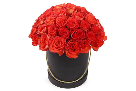 Букет 51 роза Хай Мэджик в шляпной коробке