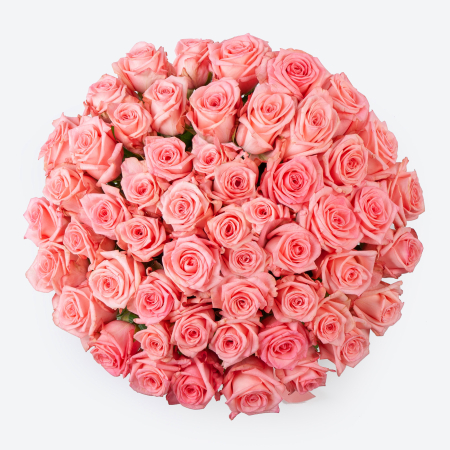 Букет Розовая королева (51 роза)