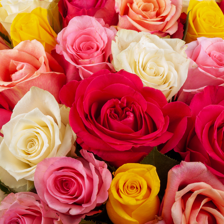 Букет из 51 розы Цветное настроение