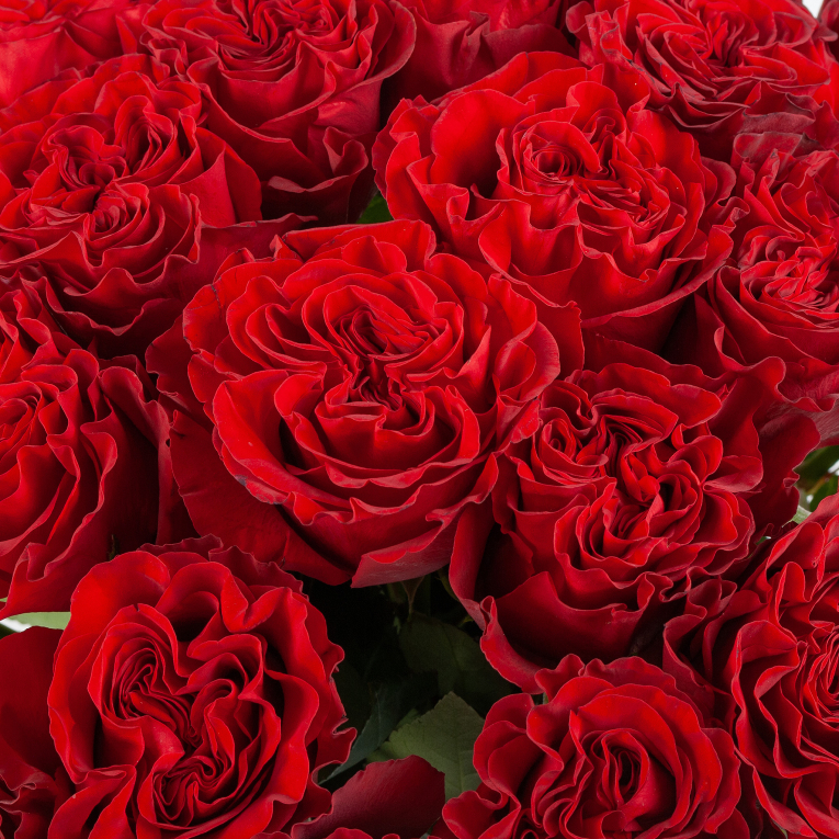 Букет 25 роз Хартс (Эквадор), 60 см