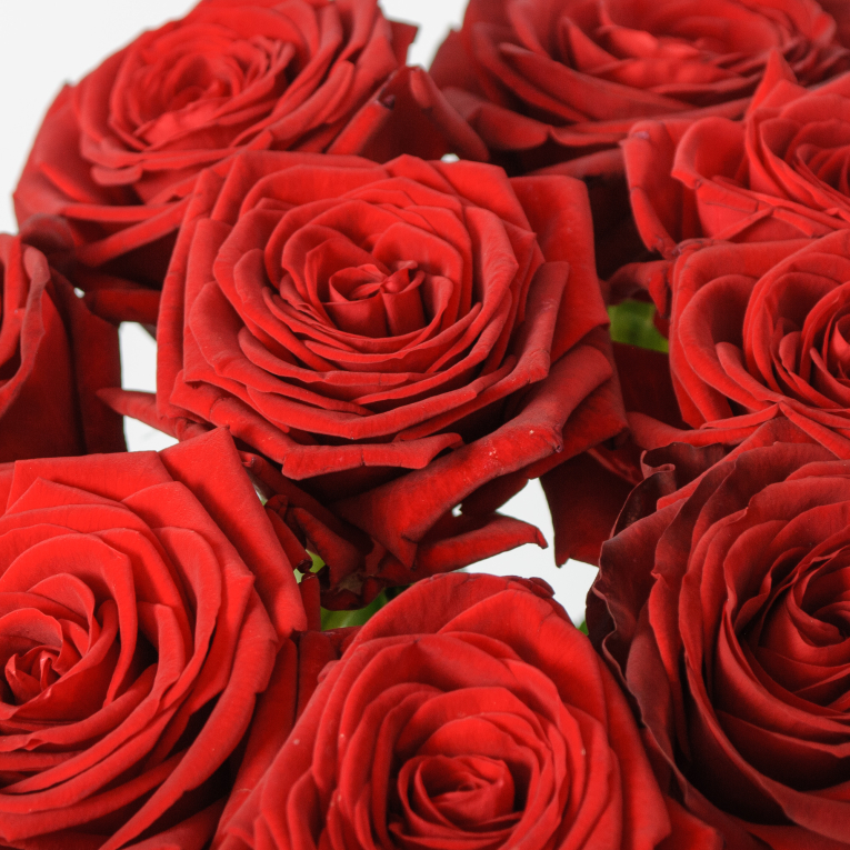 Букет 9 красных роз Ред Наоми (60 см)