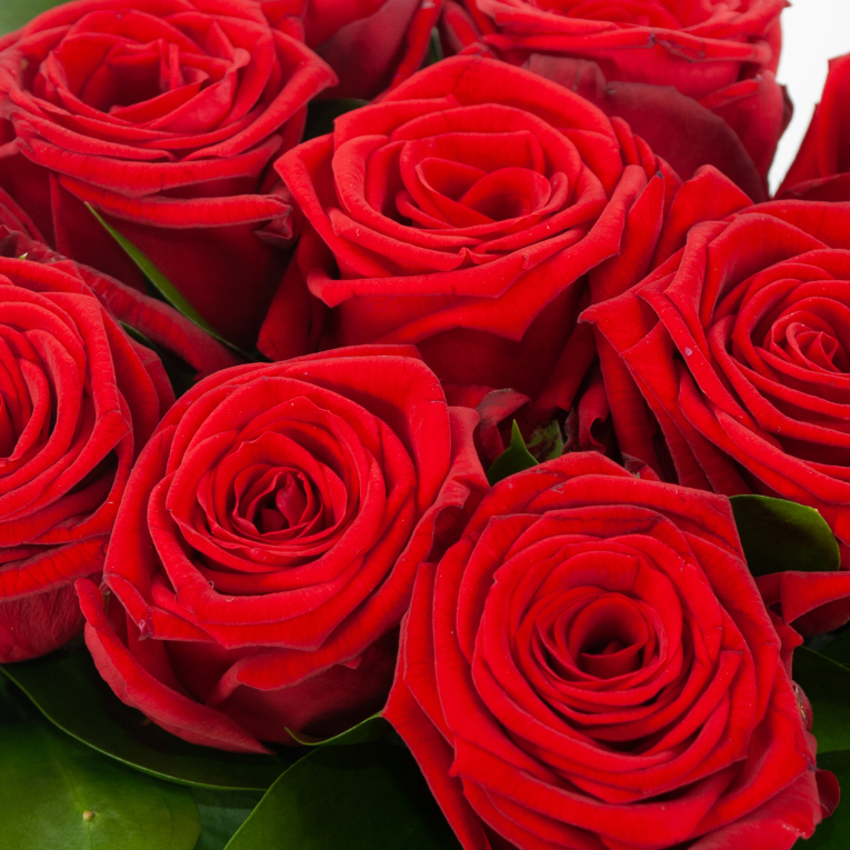 Розы в коробке Эстет