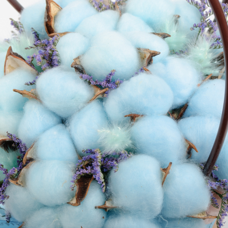 Цветы в коробке Возле дома твоего