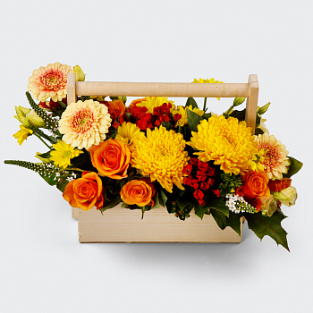 Композиция в кашпо Молодые и яркие