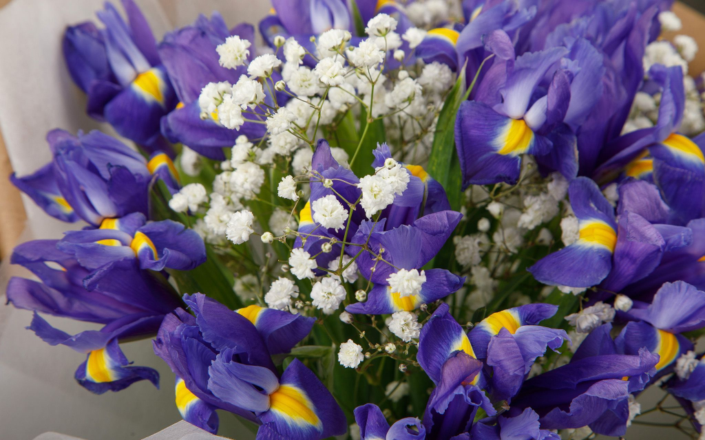 Букет с ирисами Летняя пора (макси)