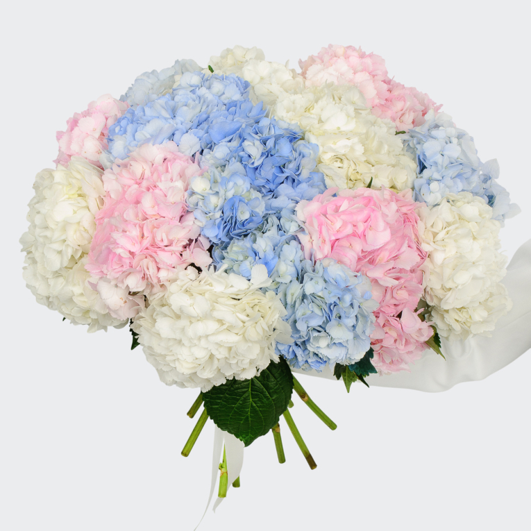 Букет 15 гортензий Цветочные облака