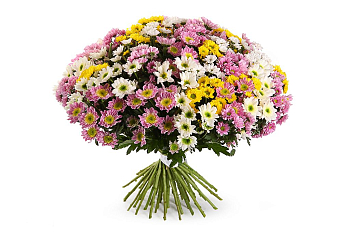 Букет 51 хризантема Сантини