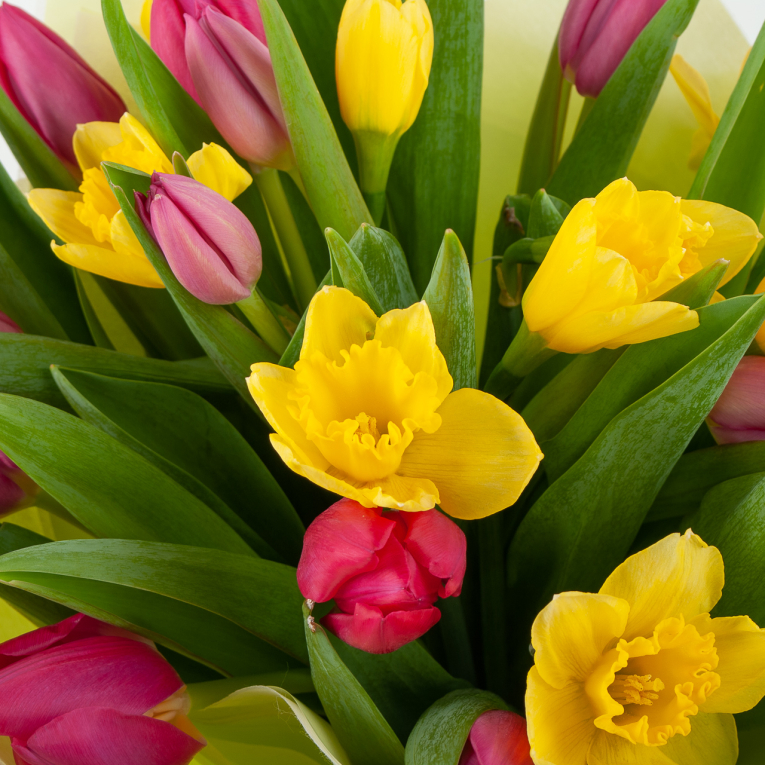 Букет Весна идет