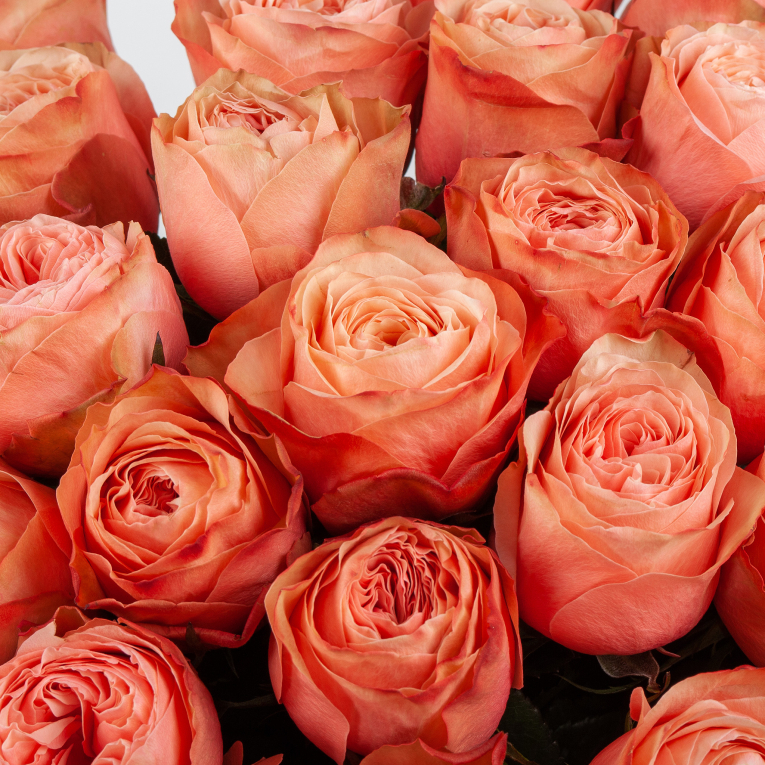 Букет 35 роз Кахала (Эквадор), 50 см