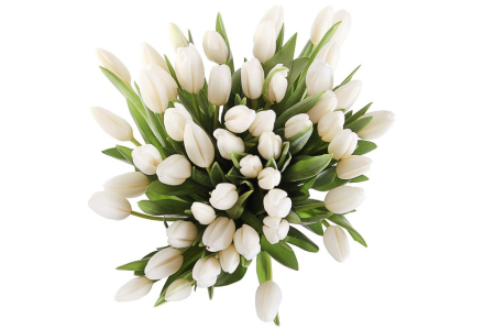 Букет 51 тюльпан, белые