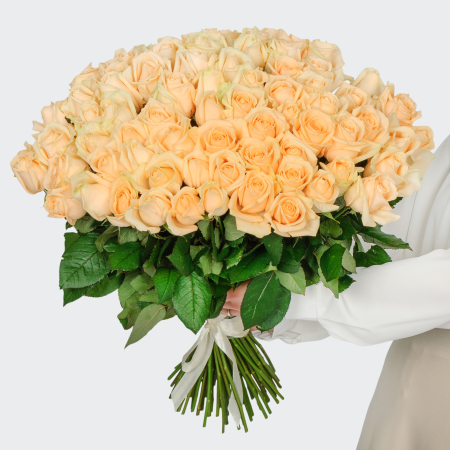 Букет 75 роз Пич Аваланш