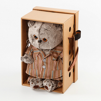 Кот Басик в шелковой пижамке