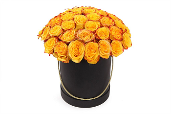 Букет 51 роза Хай Еллоу в черной шляпной коробке