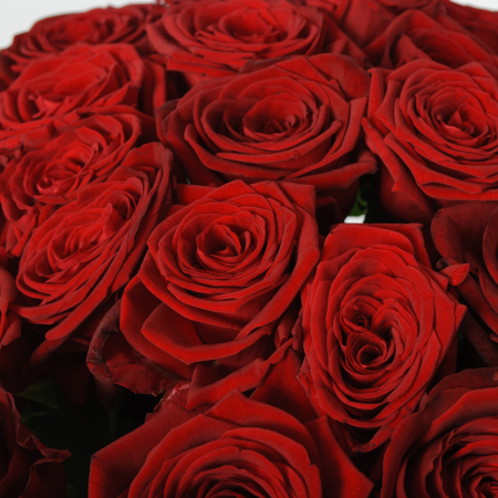Букет 35 красных роз Ред Наоми (60 см)
