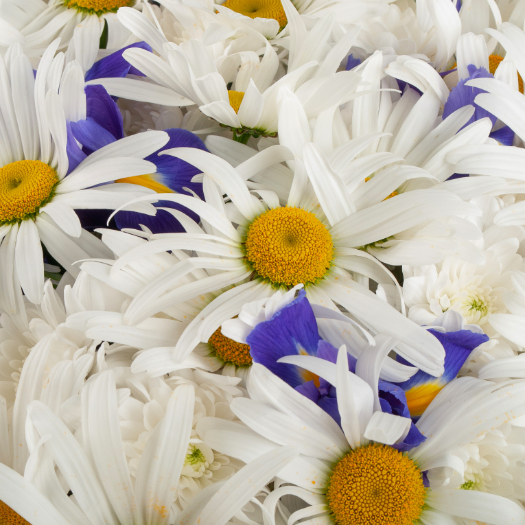 Букет Летняя идиллия