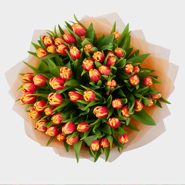 Букет 51 тюльпан Весеннее пламя
