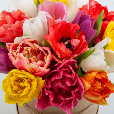 Букет в коробке Цветная акварель (15 тюльпанов)