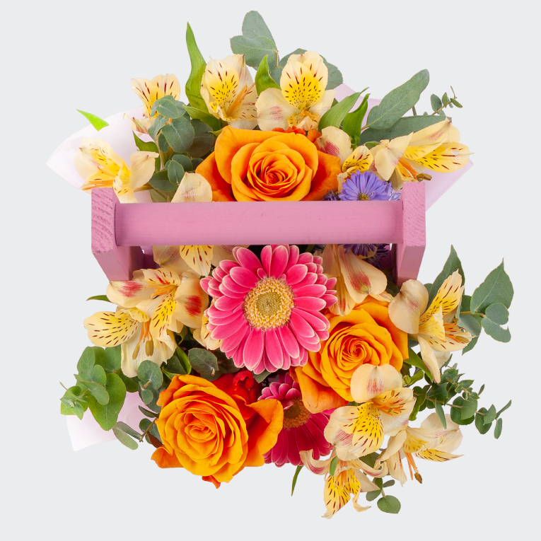 Композиция в кашпо Садик принцессы