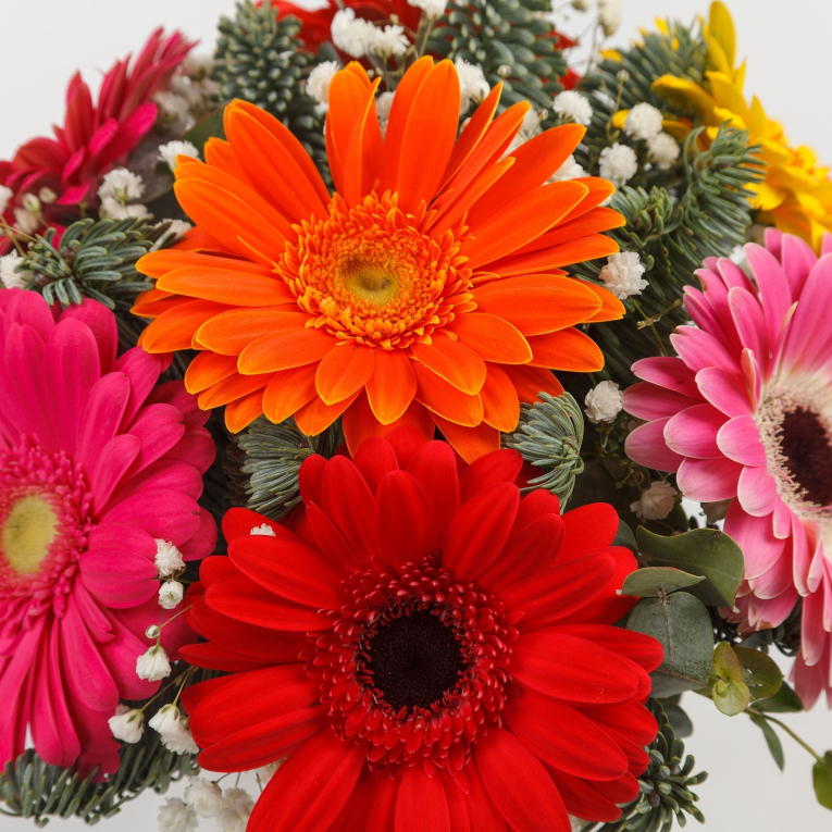 Букет в коробке Звездный фейерверк