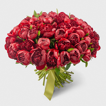 Букет 51 пион Красный жемчуг