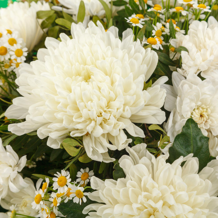 Букет Белый бархат (макси)