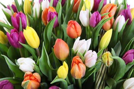 Букет Больше чем любовь