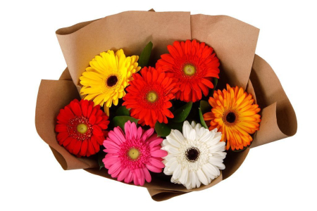 Букет из 7 гербер Раскраска