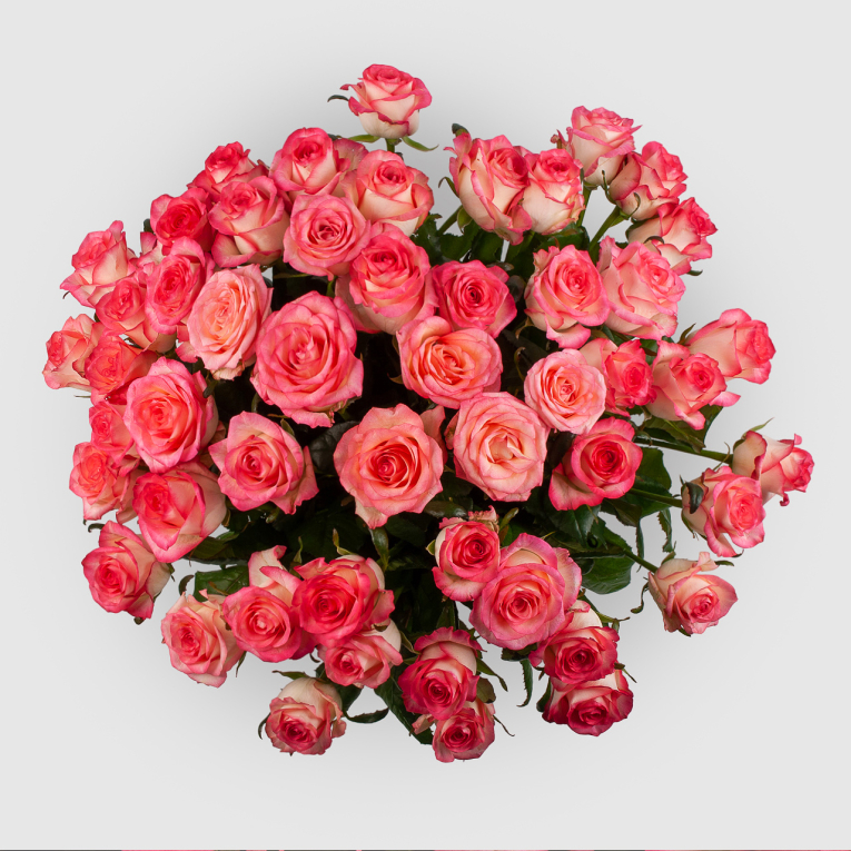 Букет из 51 розы Розовая лагуна