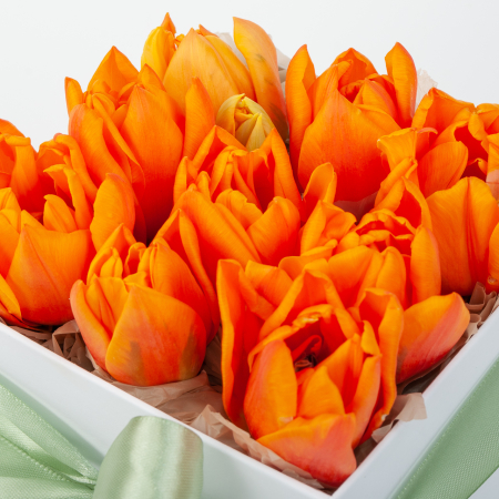 Тюльпаны в коробке Рассвет весны