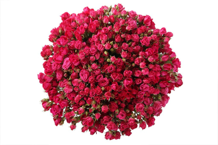 Букет 51 кустовая роза Алисия