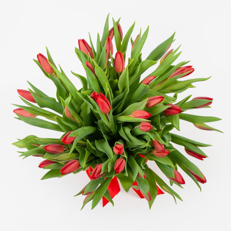 Букет 51 тюльпан Алое солнышко