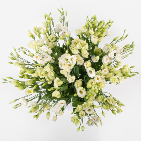 Букет из эустомы Простые сложности (увеличенный) + Десерт в ПОДАРОК!