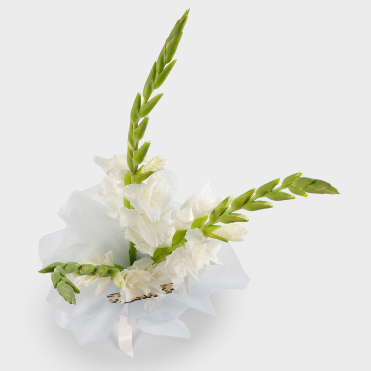 Букет гладиолусов Новые знания