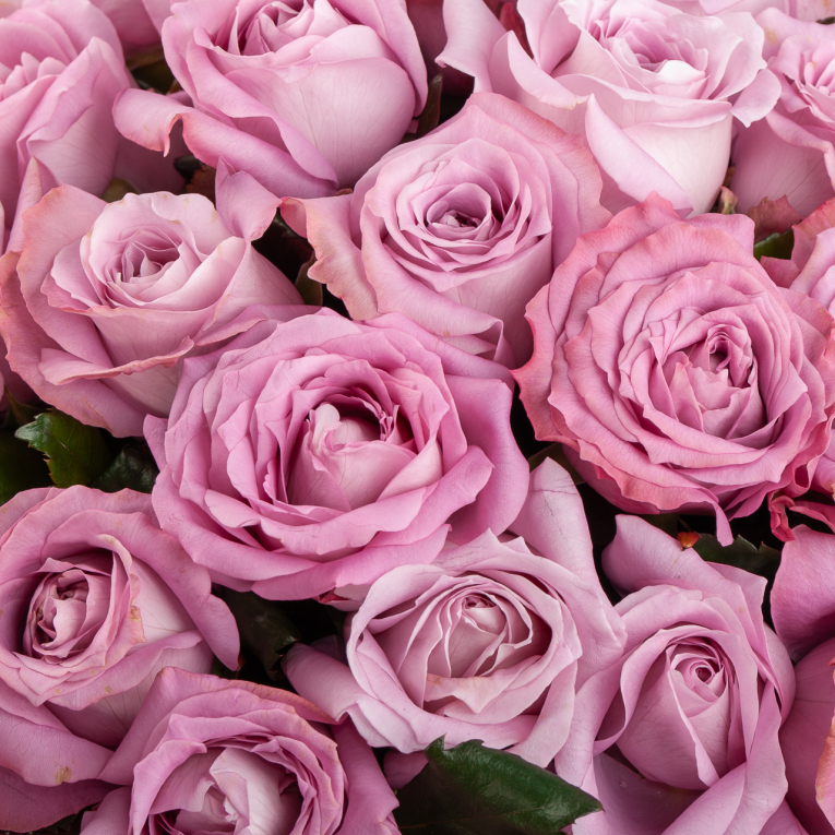 Букет 51 роза Розовая волна