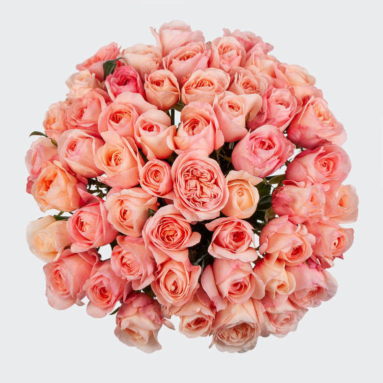 Букет 51 роза Нежное лакомство