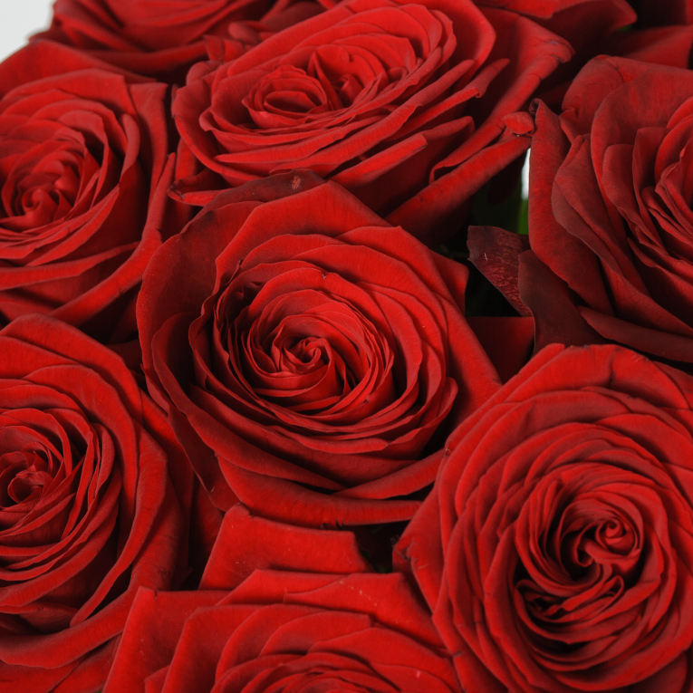 Букет 25 красных роз Ред Наоми (60 см)
