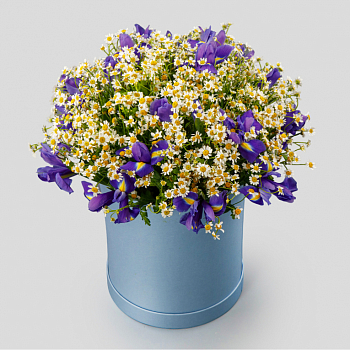 Букет с ромашками Королева полей в коробке