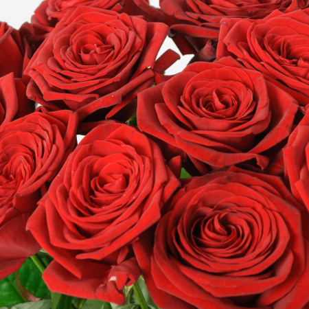 Букет 11 красных роз Ред Наоми (60 см)