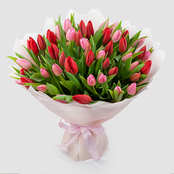 Букет 51 тюльпан Весенняя нежность