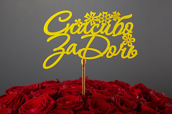 Топпер «Спасибо за дочь»