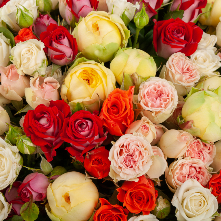 Букет из 51 розы Вспышка счастья