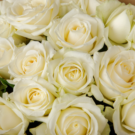 Букет 19 роз Белый мрамор