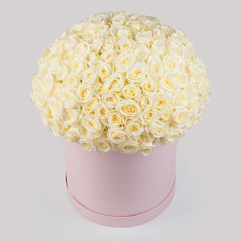 Букет в розовой коробке Нежное сердце (151 роза)